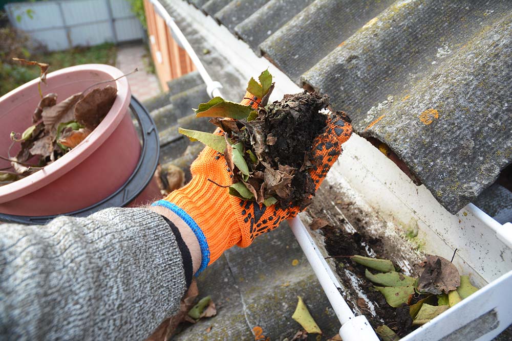 dreamstime_m_104180278 Gutter cleaning