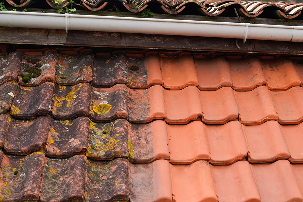 dreamstime_m_170337171 (1) Roof cleaning